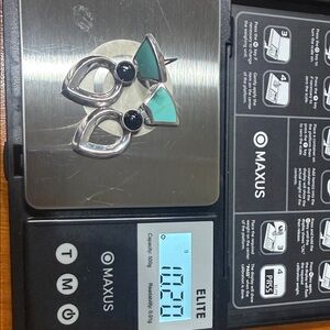 Silver and Turquoise Earrings